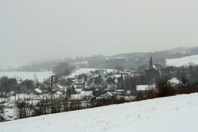 Przeczyca w białej scenerii (fotogaleria)