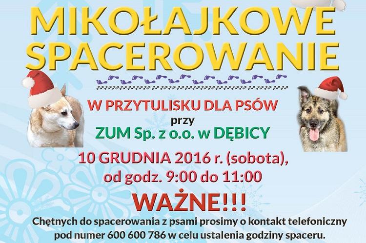 Już w sobotę Mikołajkowe Spacerowanie z Psami