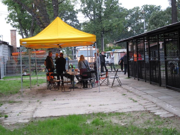 Dzień Otwarty w Przytulisku