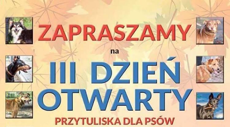 III Dzień Otwarty Azylu Dla Psów