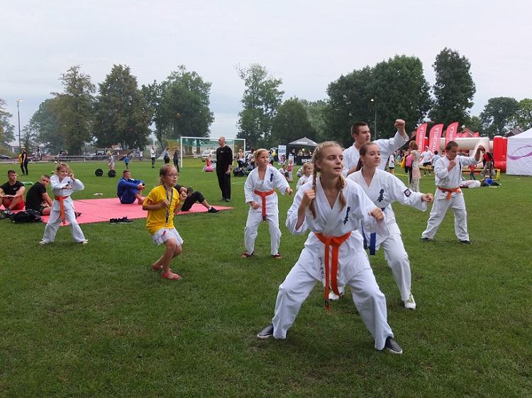 Festiwal Sportu w Dębicy - fotorelacja