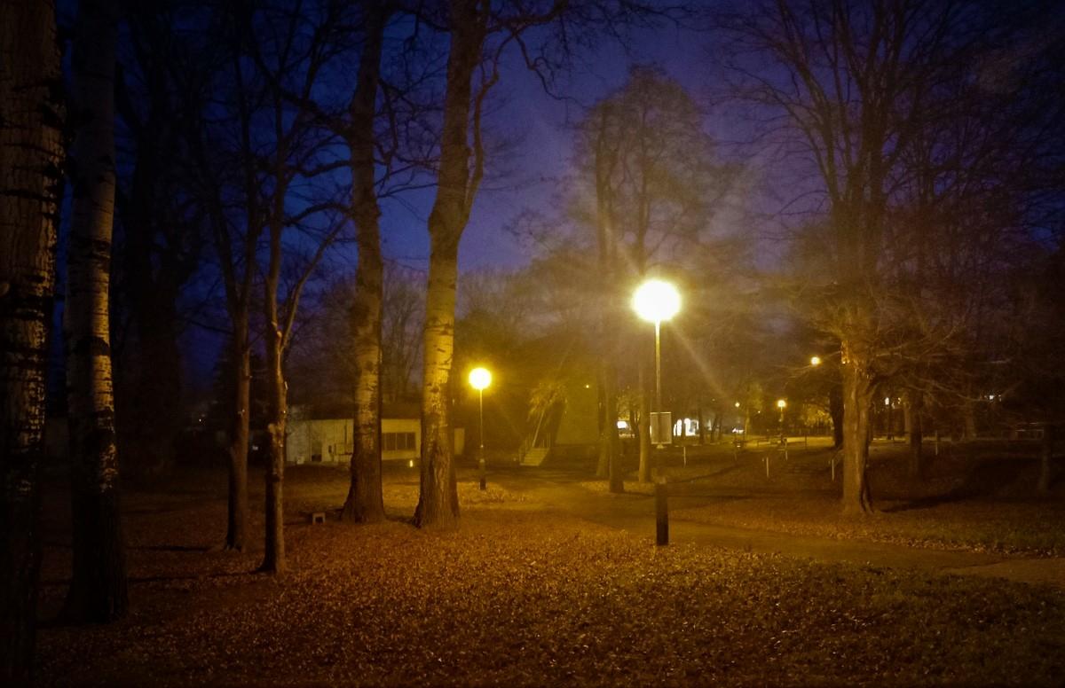 W Dębicy będzie nowy park miejski