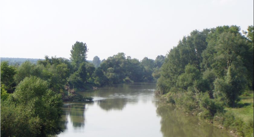 Drzewo w obiektywie - grad nagród dla naszych reprezentantów