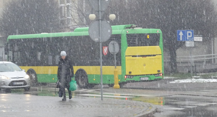 MKS i Ogro-Trans ograniczają kursy autobusów