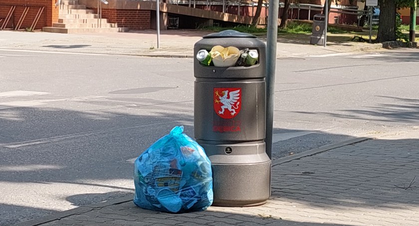 Fotopułapki działają cztery miesiące. Efektów brak