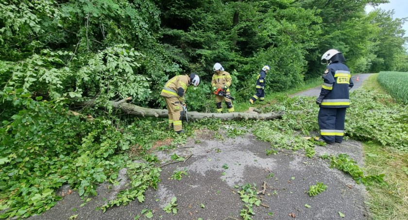 Powalone drzewa, zalane ulice. Dzisiaj znów może być niebezpiecznie - zdjęcia