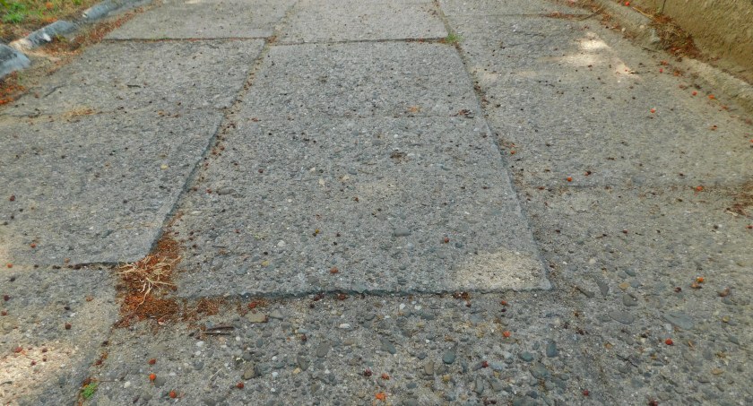 Powiat nie tylko buduje, ale też sprzedaje chodniki 