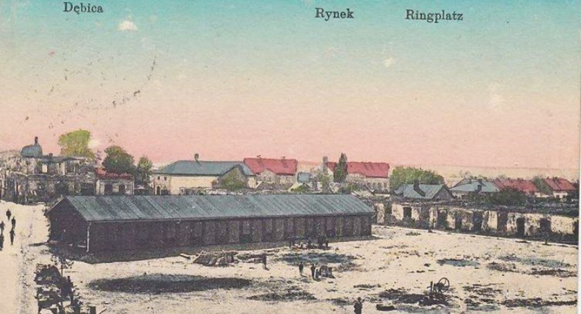 Hydra paskarska i plaga mieszkanowa w Dębicy