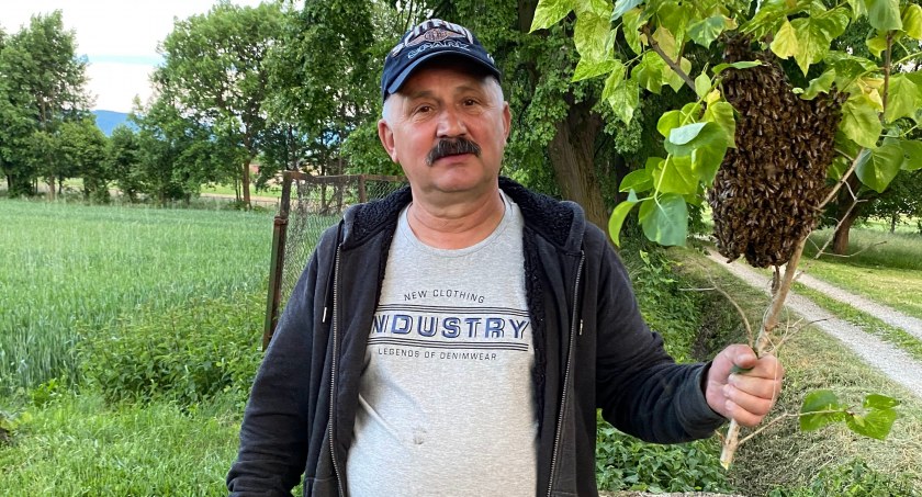 Te najbardziej pracowite pszczoły to Staszki. Na cześć jego taty