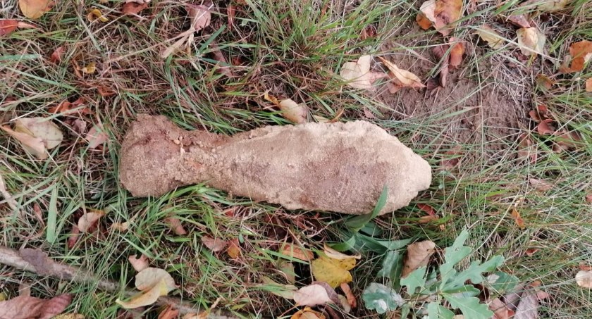 Natrafili na niego podczas prac ziemnych