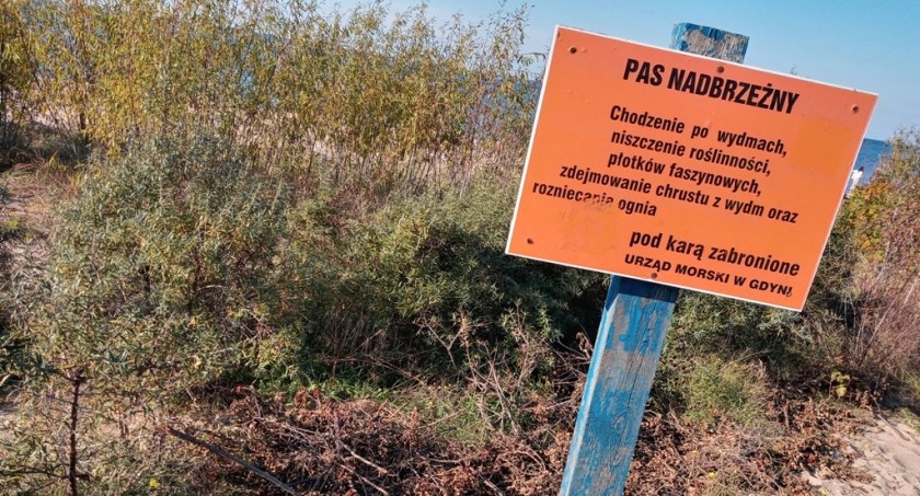 Im zbierać chrustu zabroniono
