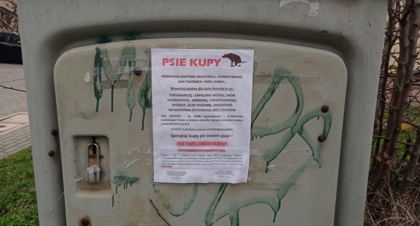 Spółdzielnia apeluje: sprzątaj po psie albo zapłacisz mandat