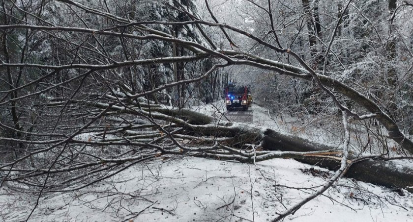 Najpierw mocno powiało, potem spadł śnieg