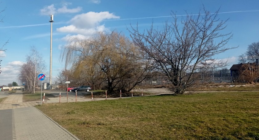 Parkingi oddzieli strefa zieleni