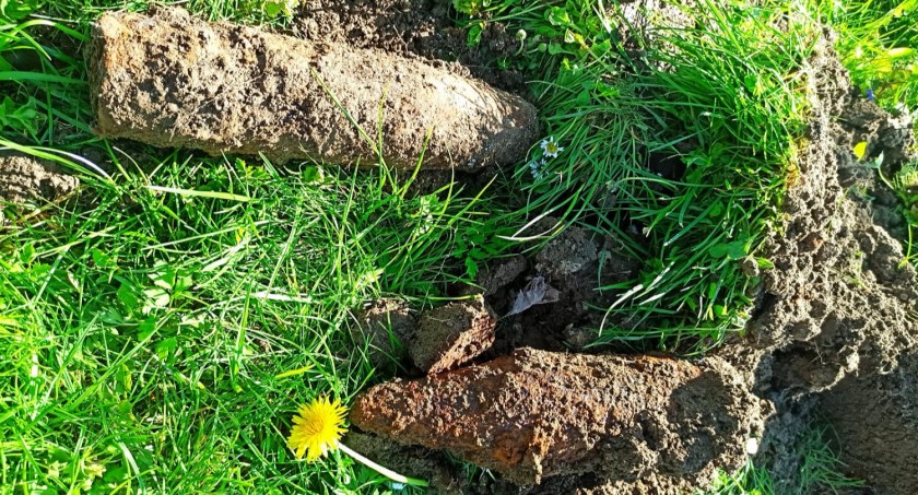 Sadzili ziemniaki i znaleźli pozostałość po wojnie