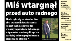 Miś przed maską auta radnego, złe znaki - ciągłe wyp&hellip;