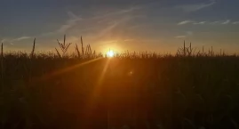 Fala upałów nadciąga nad nasz powiat. W niedzielę si&hellip;