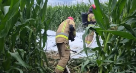 Płonąca awionetka lądowała na polu kukurydzy