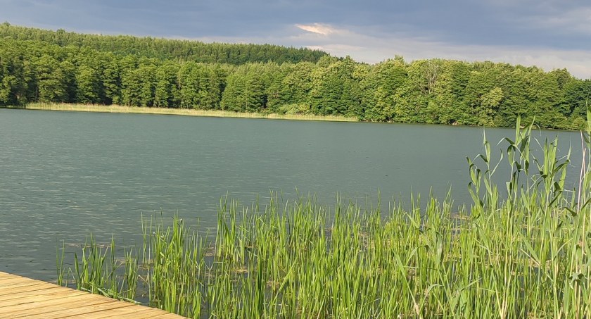 Nie tylko makro [GALERIA]