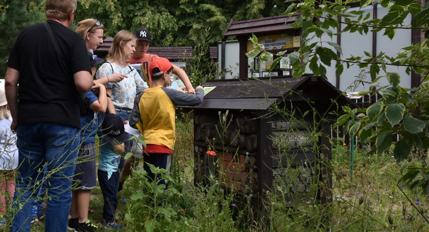 Wielki Dzień Pszczół z Mazurskim Parkiem Krajobrazowym [ZAPROSZENIE]