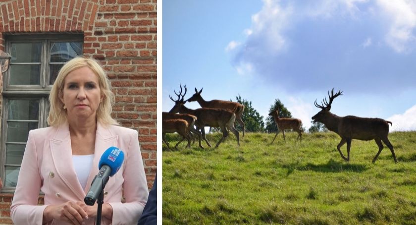 Posłanka interweniuje w sprawie wstrzymania likwidacji stacji badawczej w Kosewie Górnym