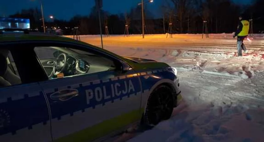 Lis pod kołami auta na obwodnicy Mrągowa
