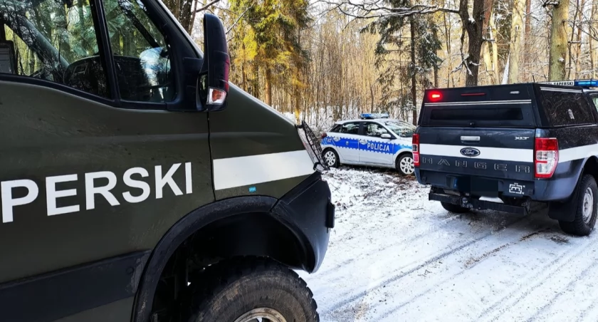 Pociski artyleryjskie z czasów II wojny światowej znalezione przy trasie Piecki-Jakubowo