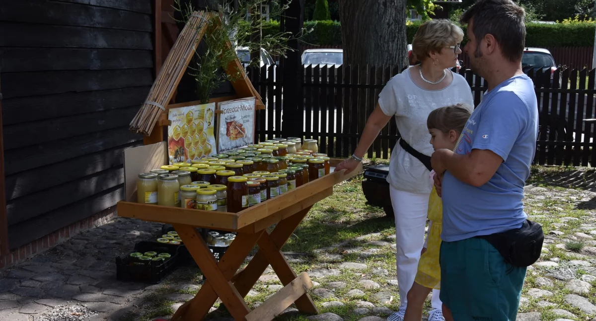 Wielki Dzień Pszczół w Krutyni - zapraszamy!