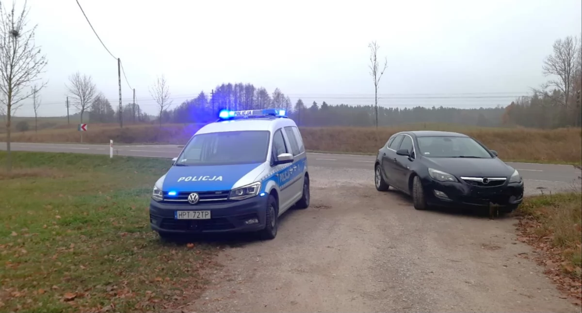 Poranne zderzenie opla i sarny w Prawdowie. Zwierzę nie przeżyło wypadku