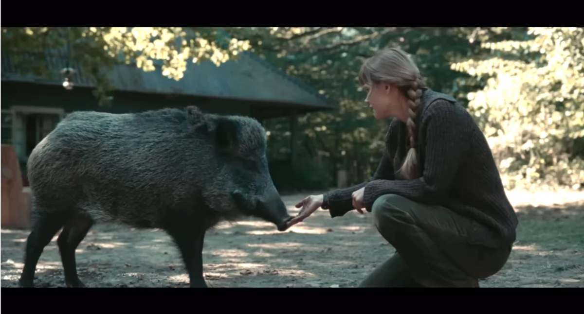 Seans w kinie Zodiak: Simona Kossak - biografia, dzieło i ciekawostki o filmie