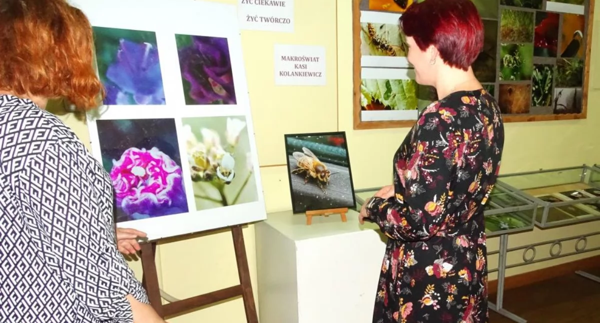 Oko w oko z fotografiami Katarzyny Kolankiewicz