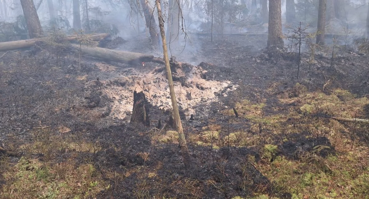 Po pożarze torfowiska pod Mrągowem: ponad 150 tysięcy litrów wody i 76 ratowników w akcji