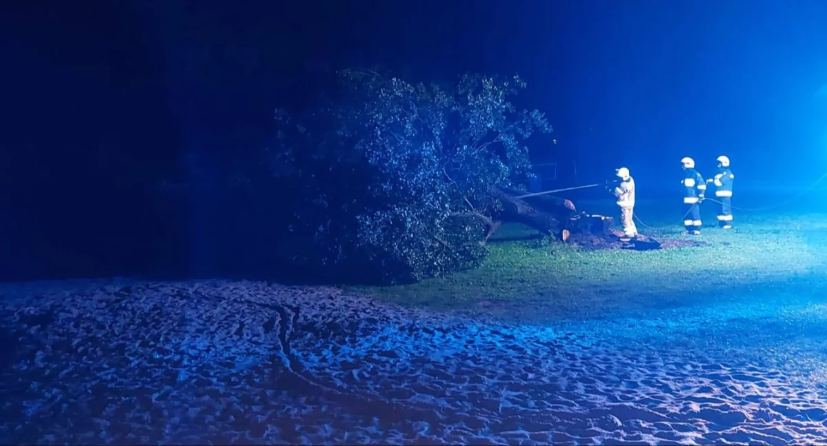 Na plaży w Warpunach spłonęło jedyne duże drzewo dające cień