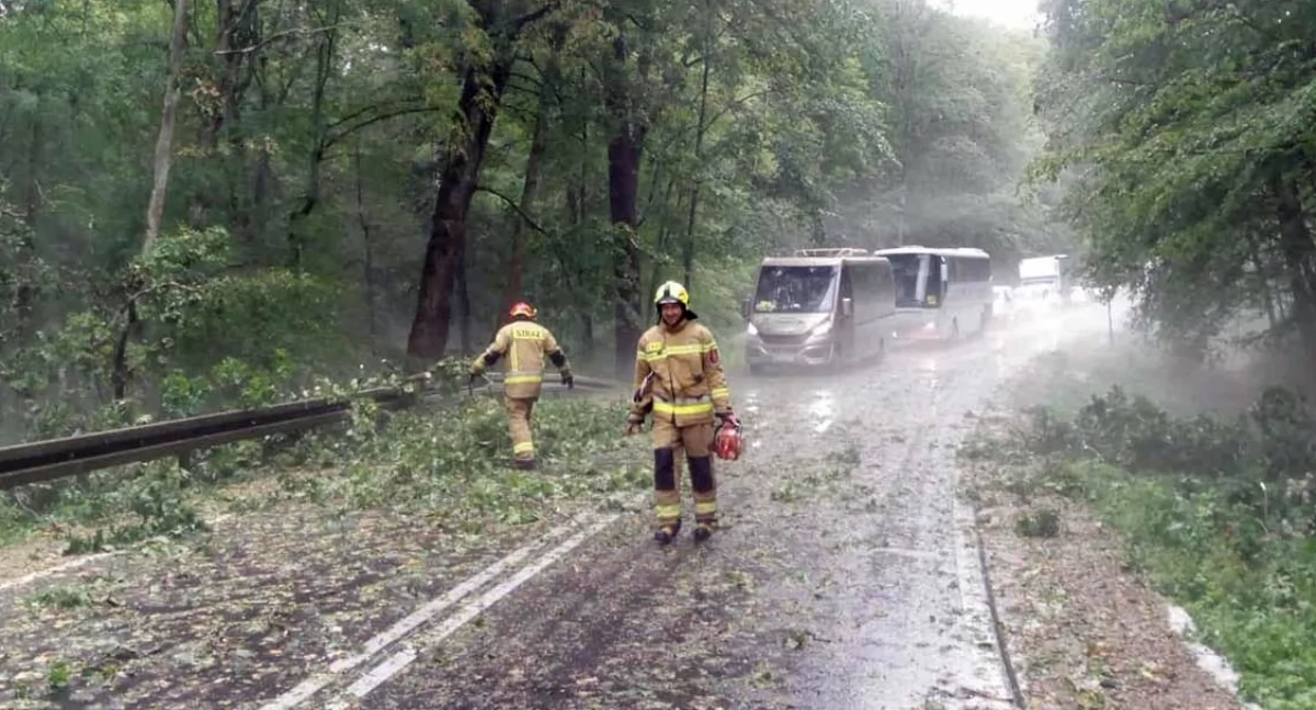 Burza nad Krutynią sparaliżowała drogę. Strażacy w akcji