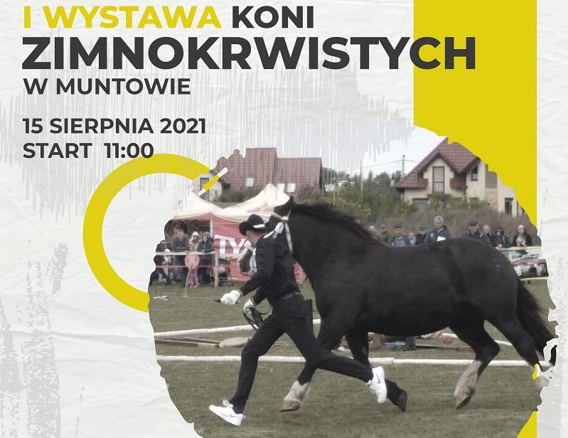 Zapraszamy do Muntowa na wystawę koni! Będzie można podziwiać, klaskać i... zjeść coś smacznego