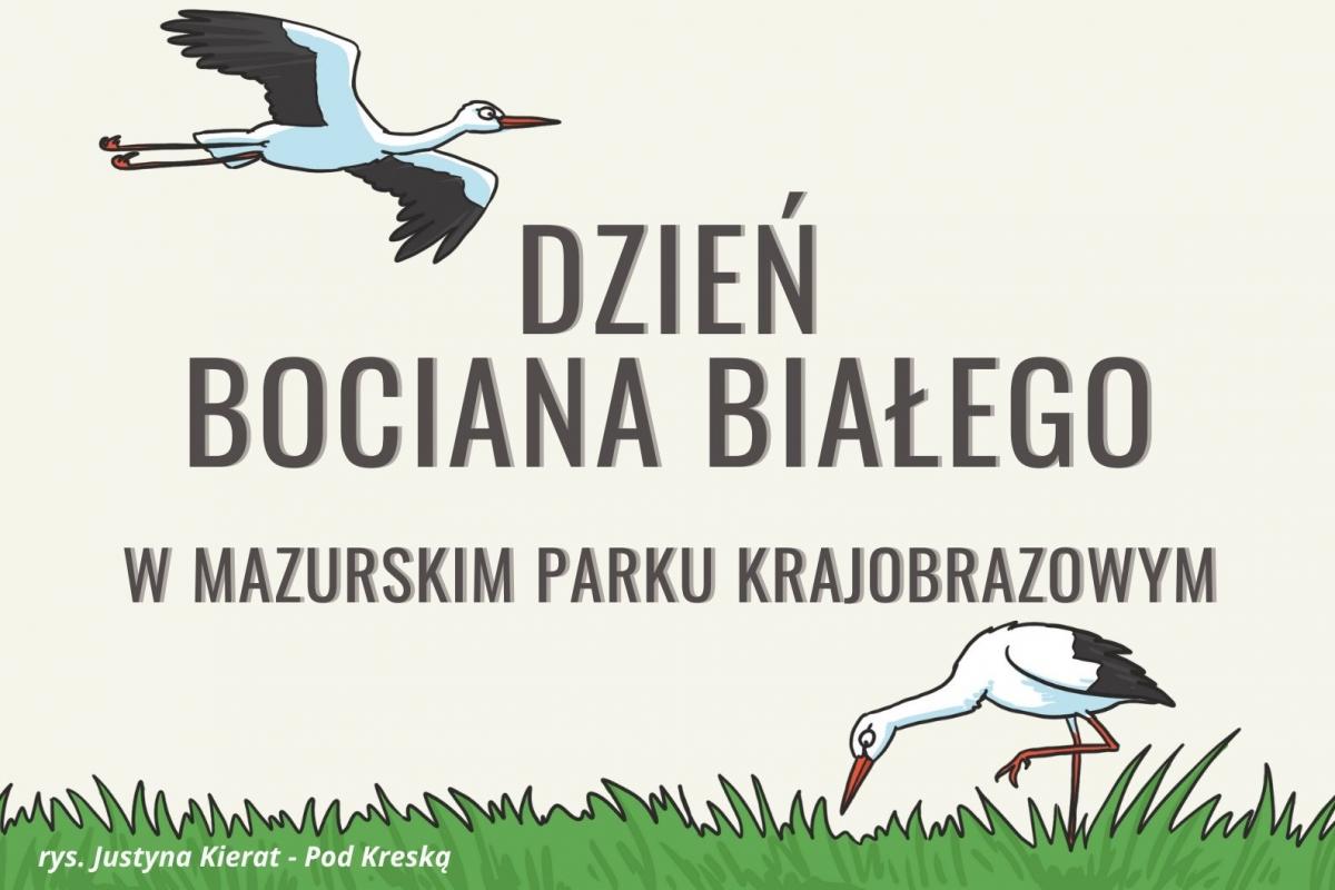 Zaproszenie: Bocian biały też ma swój dzień