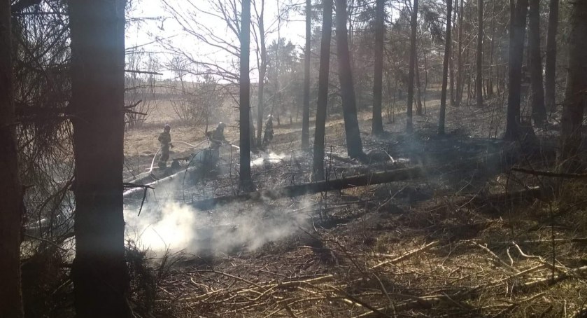 Tyle się mówi, a trawa i tak płonie - strażacy już interweniują