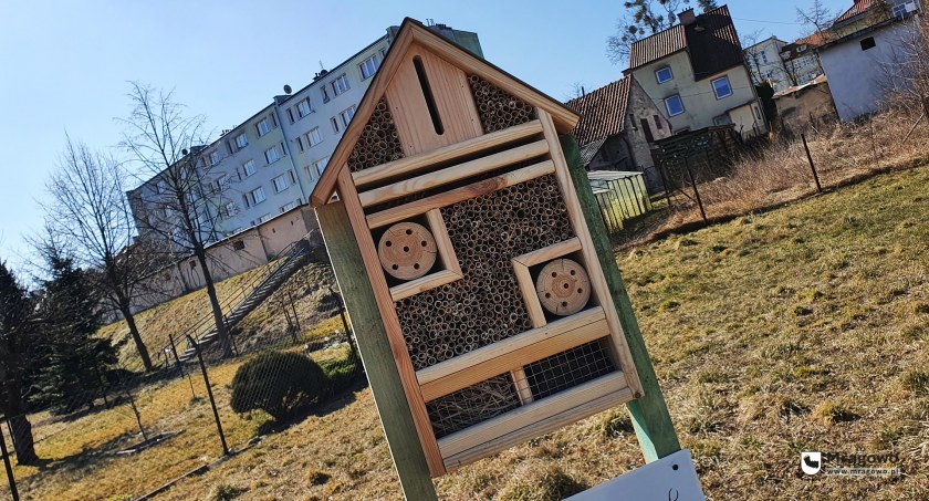 Na terenie Mrągowa pojawił się hotele dla owadów 