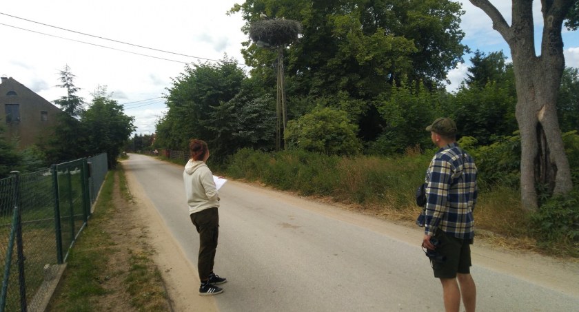 Mazurski Park Krajobrazowy: Bocianie gniazda policzone razem z zawartością