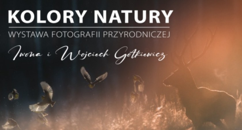 Kolory natury w obiektywie Iwony i Wojciecha Gotkiewiczów