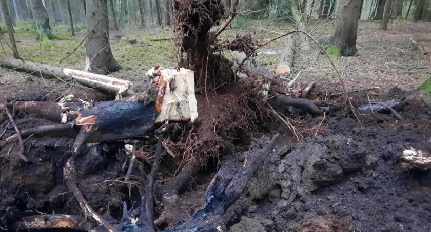 Sorkwity: Nowy Rok spędzili w lesie gasząc pożar