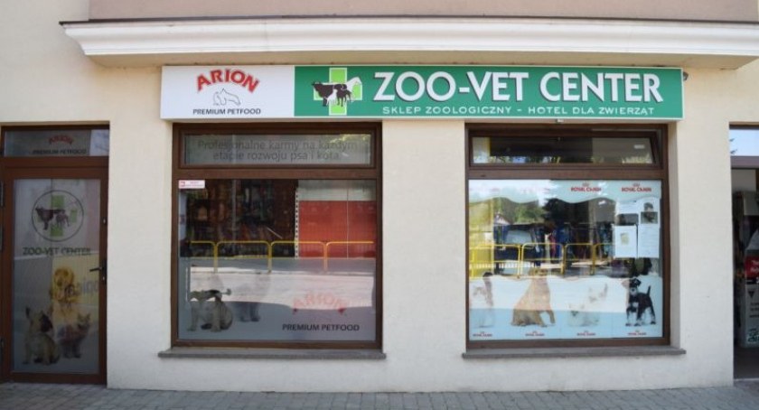 Od chomika po konika - lekarze od wszystkiego