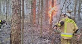 Pożar torfowiska w Rezerwacie Gązwa – trudna akcja gaśnicza strażaków i leśników