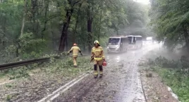 Burza nad Krutynią sparaliżowała drogę. Strażacy w akcji