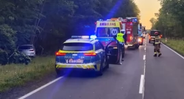 Kolejne zderzenie z łosiem w powiecie mrągowskim – kierowca miał dużo szczęścia