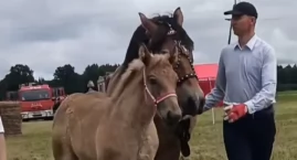 Gitara z Borowskiego Lasu skradła serca publiczności&hellip;