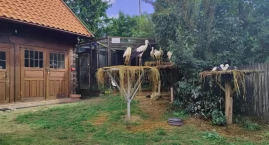 Nowa szansa dla rannych bocianów i bielików. Rusza r&hellip;