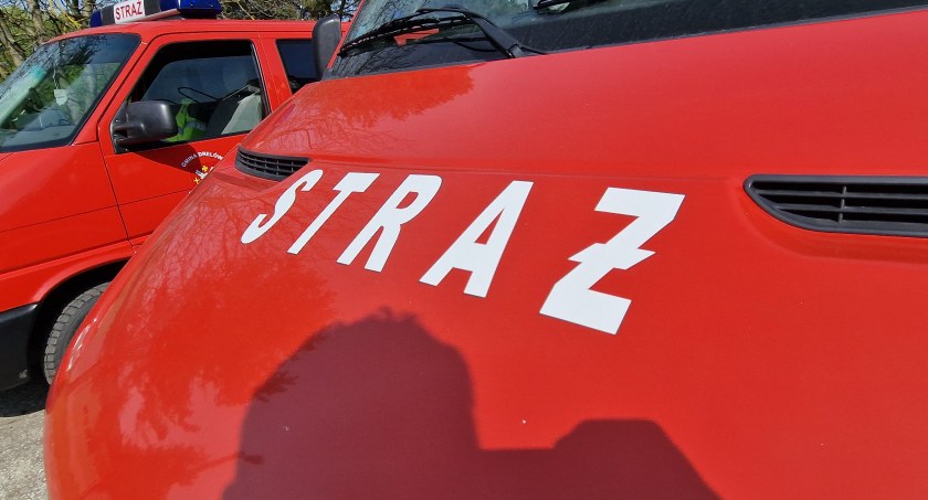 Biała Podlaska, Międzyrzec Podlaski: Strażacy ratowali dzikie zwierzęta. Jednego kozła nie udało się uratować 