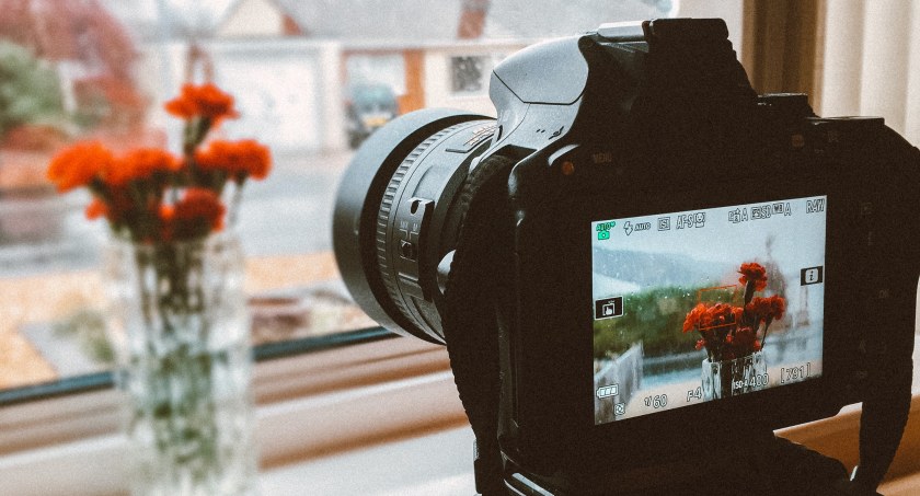 Biała Podlaska: Świat widziany oczami młodych fotografów - wystawa 