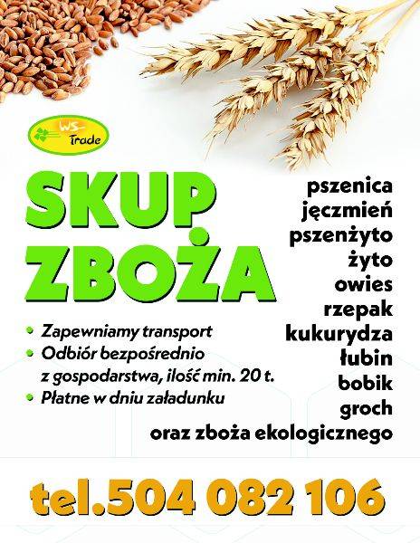 BSK Kadet Biała Podlaska - MKKS Rybnik